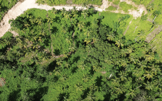 Land in Coson ideal for small project and investment